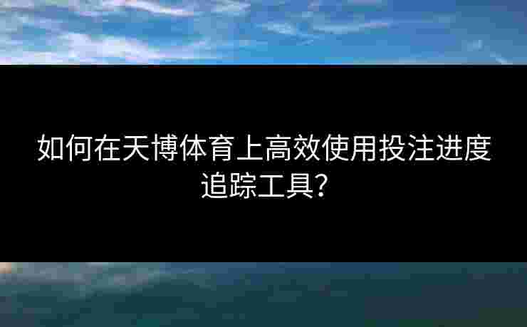 如何在天博体育上高效使用投注进度追踪工具？